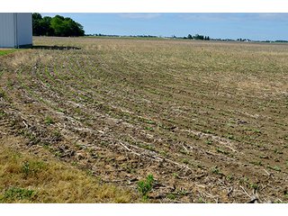 Property photo 64 - FARM & LAND AUCTION - 125+/- ACRES OFFERED IN 5 TRACTS IN EAST ALLEN COUNTY, INDIANA